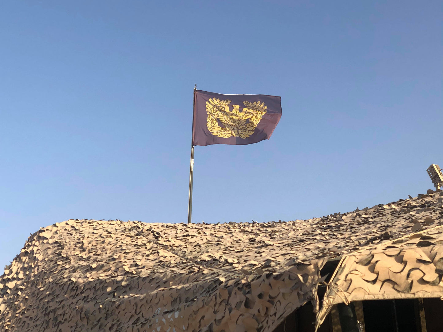 Eagle Rising Flag